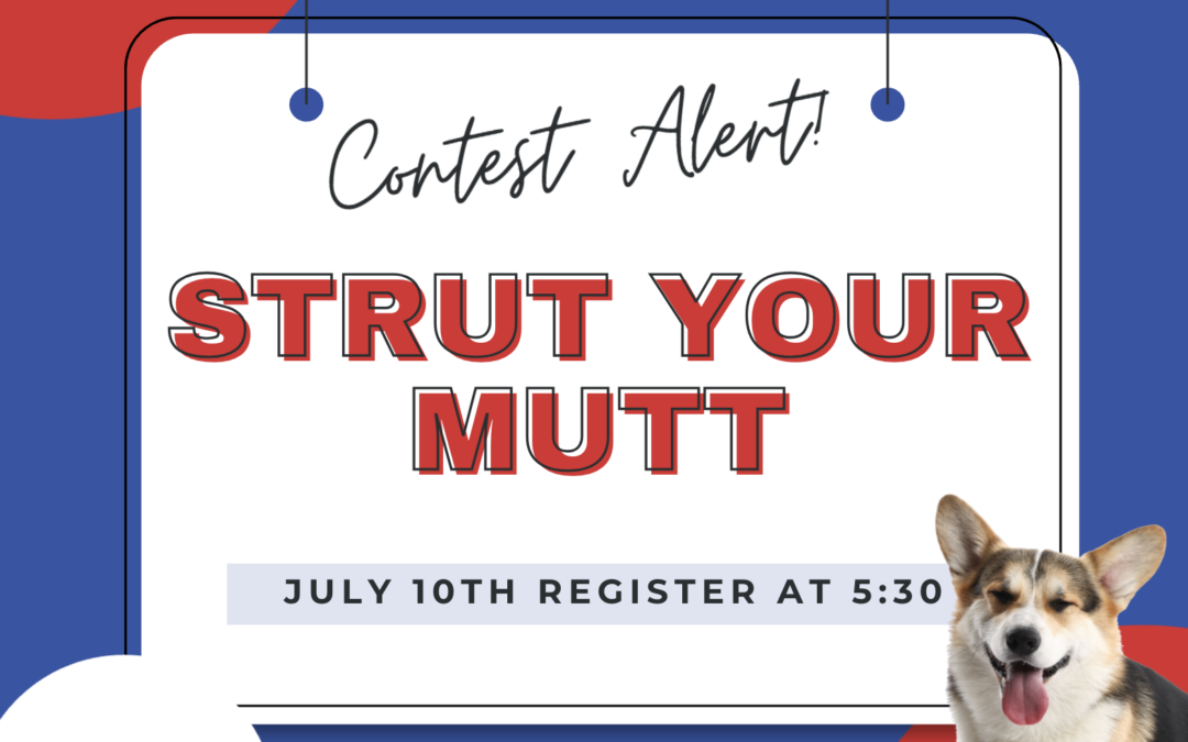Strut Your Mutt – Dog Contest